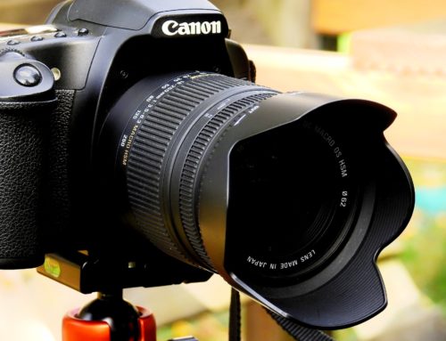 The Best Starter Cameras for photography or videography