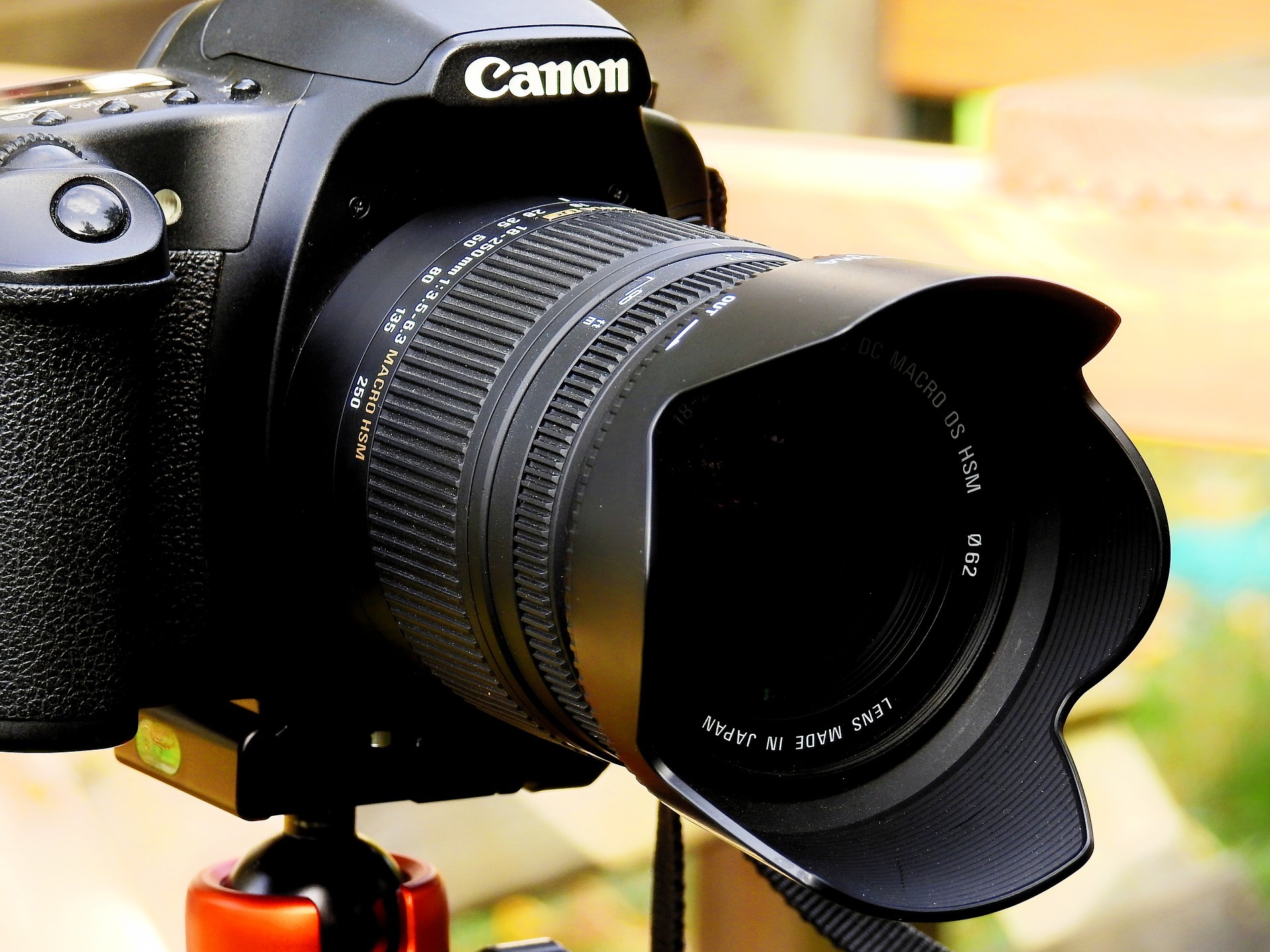 The Best Starter Cameras For Photography Or Videography Heights 